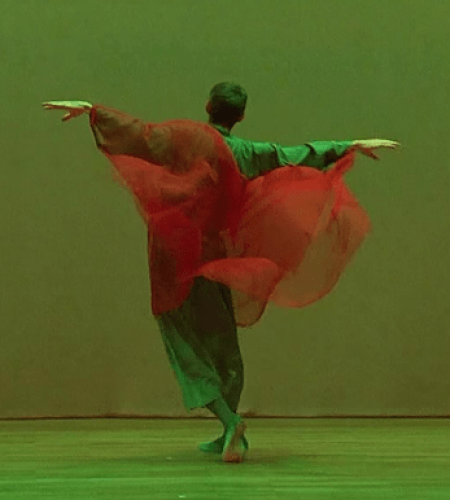 Wollte ich Liebe singen VII